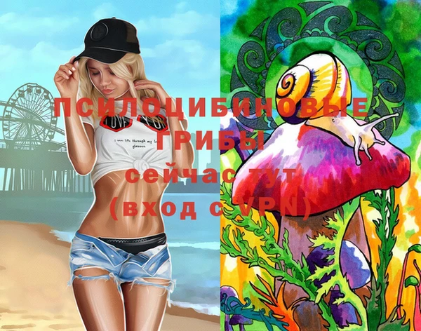 apvp Аркадак