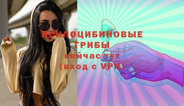 apvp Аркадак
