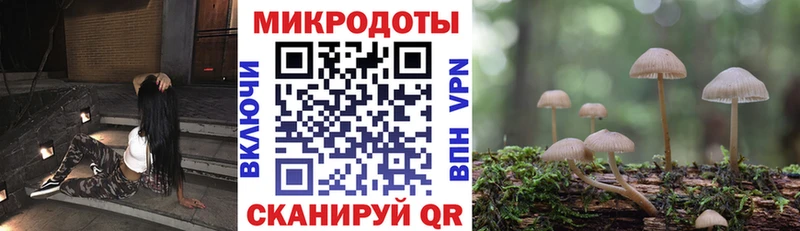 Галлюциногенные грибы Magic Shrooms  Пласт 